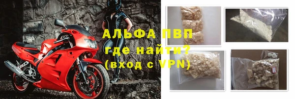 спиды Новозыбков