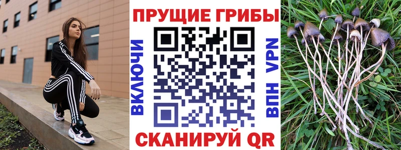 Псилоцибиновые грибы прущие грибы  Арамиль 